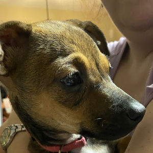 Meet your Posher, Marceline